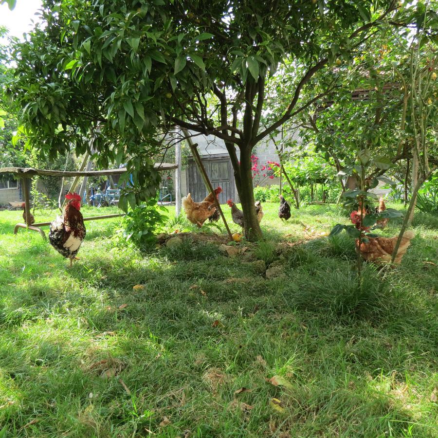 Agroturismo La Casona De Belmonte Ovinana  Exterior foto